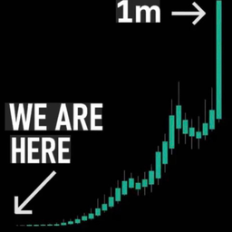 1M