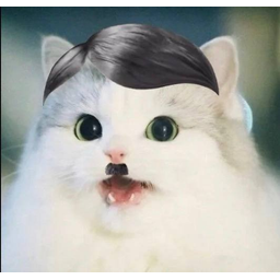 kittler
