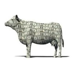 CASHC