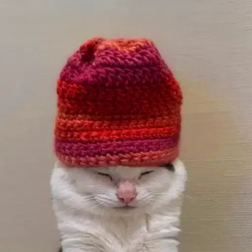 WIF