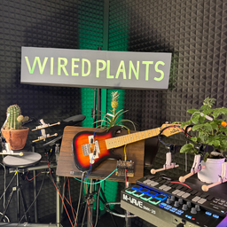 PLANTS