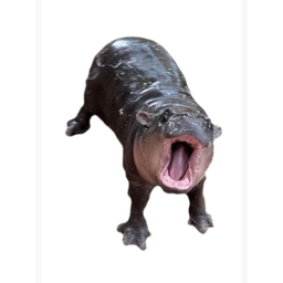 HIPPO