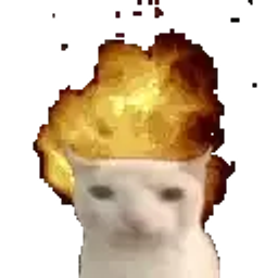 BURNCAT