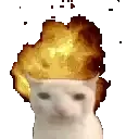 BURNCAT