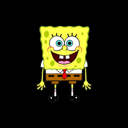 sponge