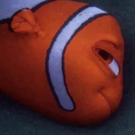 NEMO