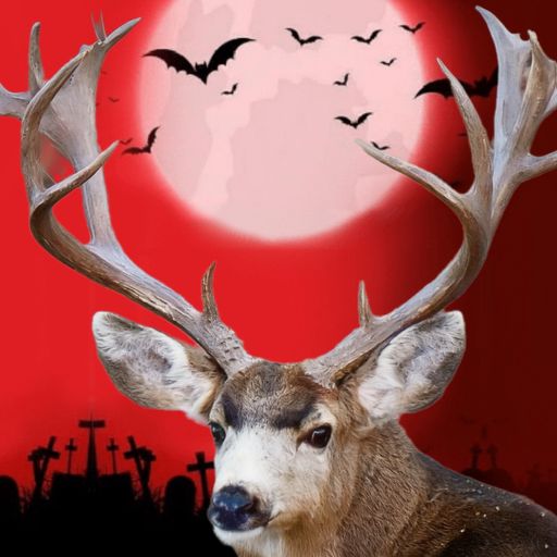 🌙 BUCK