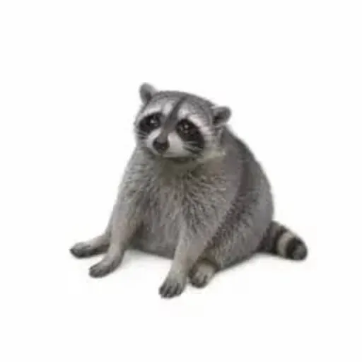 cashcoon