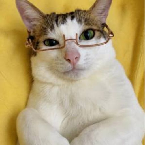 catjak