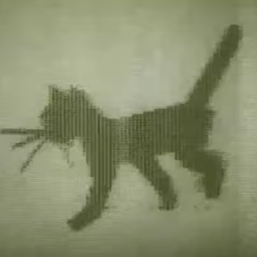 KITTY