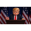BABYTRUMP