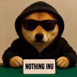 NOTHINGINU