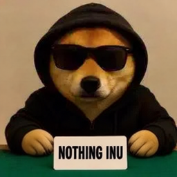 NOTHINGINU