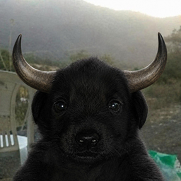 Bullchua