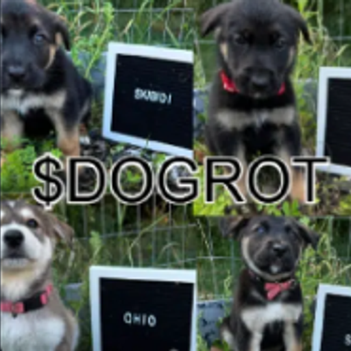 DOGROT