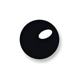 ORCA