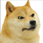 $DOGE