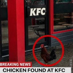 $Chicken