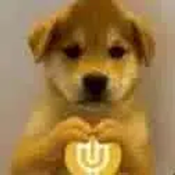 inu