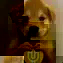 inu