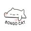 BONGO