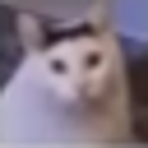 HUHCAT