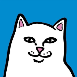 RIPNDIP