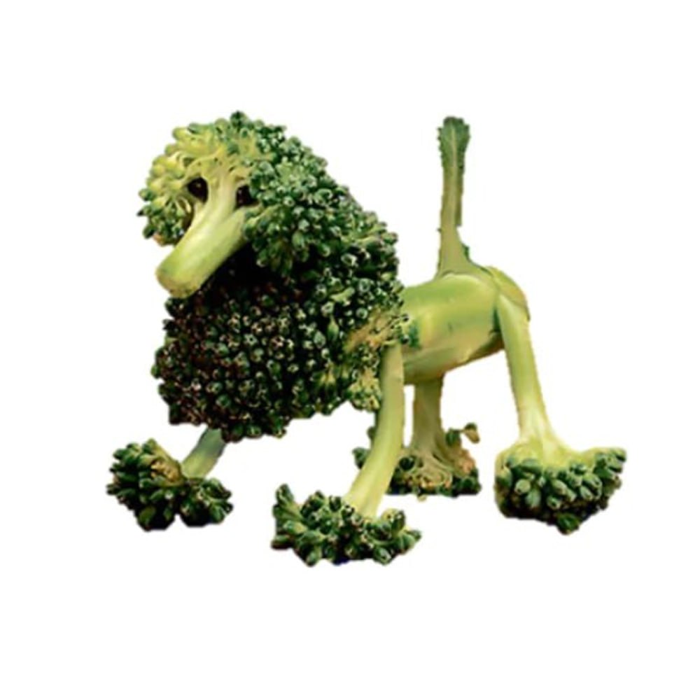 BROCCO