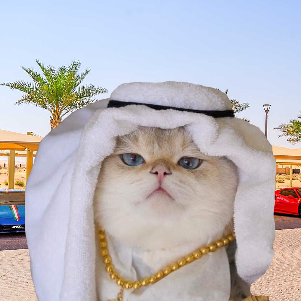 Catbibi