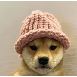 WIF
