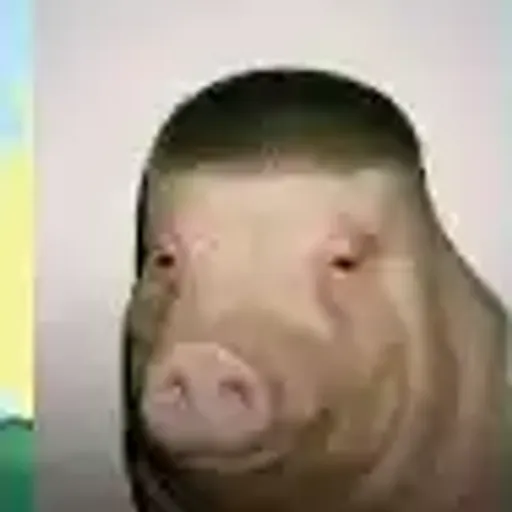 PIGMAN