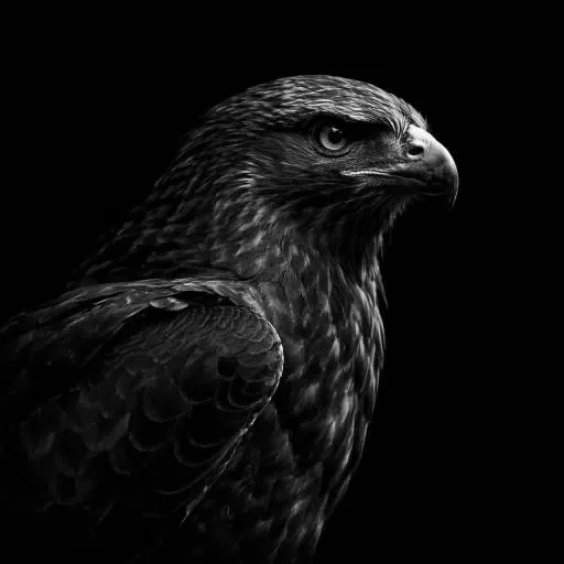 HAWK