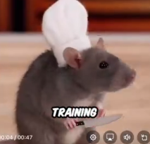 RATWIFHAT