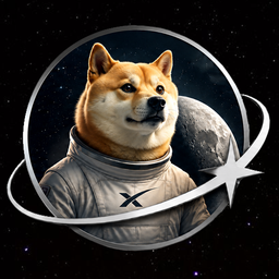 SPCXDOGE