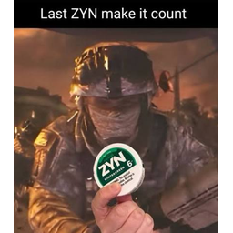 Zyns