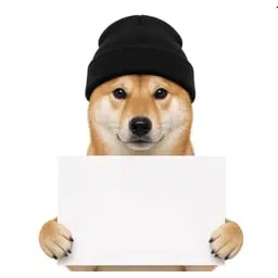 adog