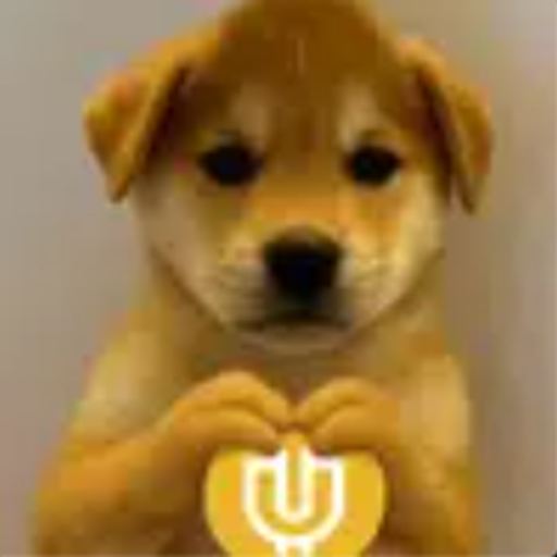 INU