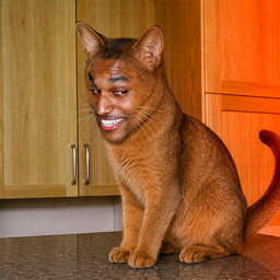 CATSEM