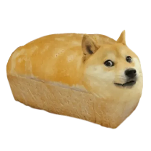 Dogebread