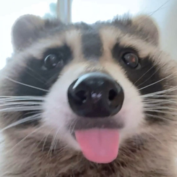 BANDIT