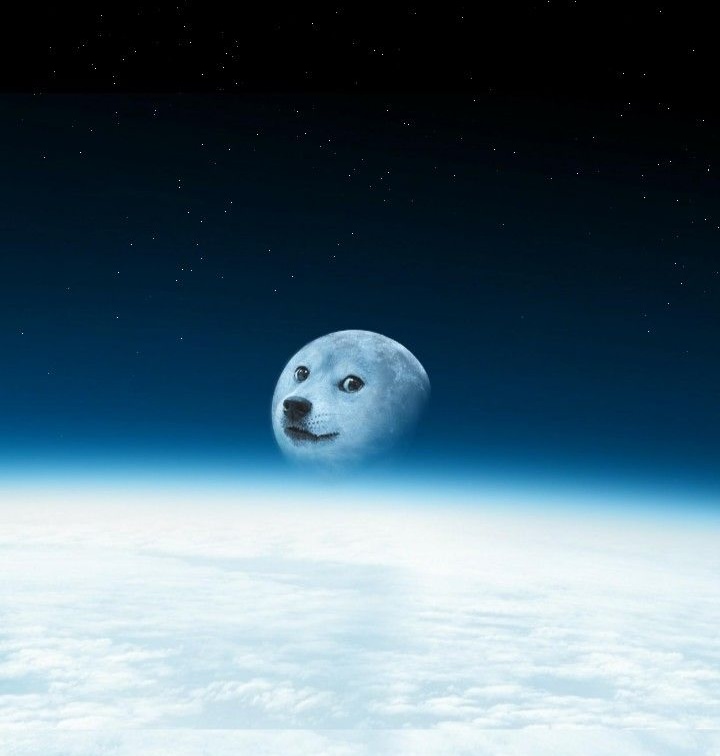 DOGEMOON