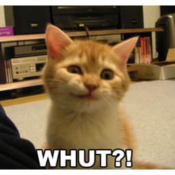 Whut?!