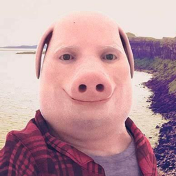 PORK