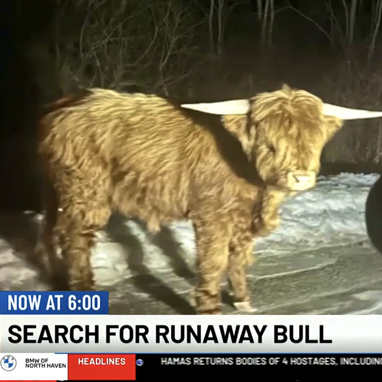 bullran