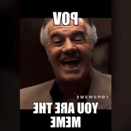 MEMEPOV