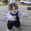 DanceMichi