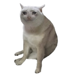 CASHCAT