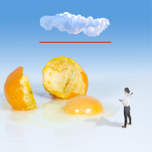 EGGONOMY