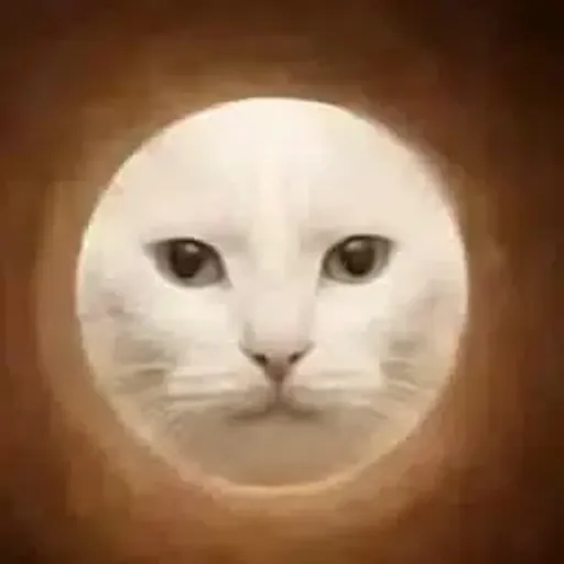 Mooncat