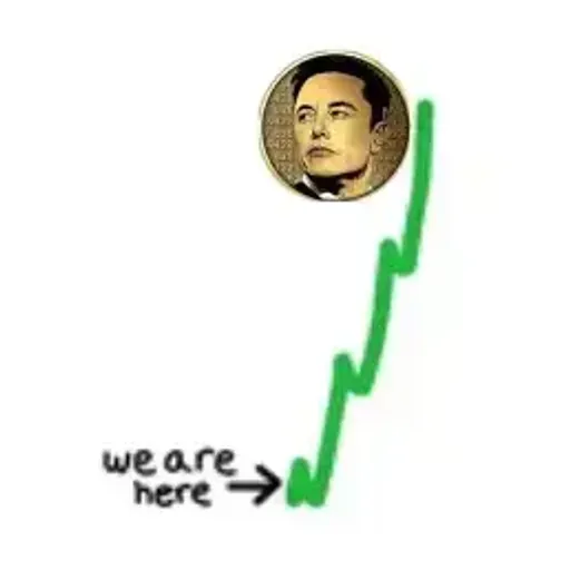ELON